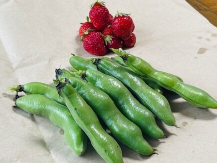 そら豆といちご