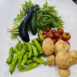野菜