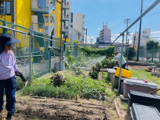 農園風景