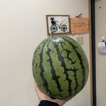 すいか